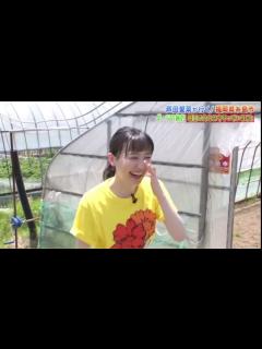 [x]芦田愛菜ちゃんのダーツ旅 - YouTube