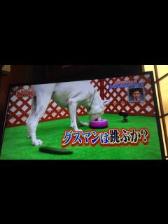 [x]ダマされた大賞 - YouTube