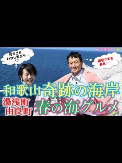 [x]「知られざる絶景‼️奇跡の海岸線」和歌山 由良町・湯浅町の㊙美味いもん #おとな旅あるき旅 #traveljapan #wakayama ...