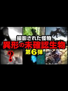 [x]撮影された怪物 異形の未確認生物 第6弾 - YouTube