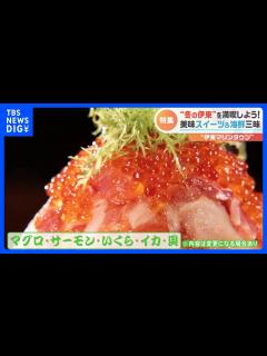 [x]食べて！遊んで！癒やされて！“冬の伊東”を遊び尽くす！｜TBS NEWS DIG - YouTube