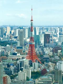 [x]東京, 東京タワー, 東京トラベルの無料の写真素材