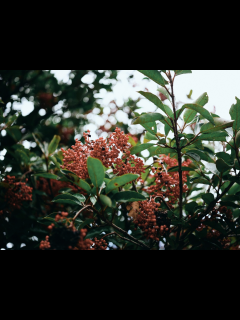 [x]自然体でいられる街「生田」 - SUUMOタウン