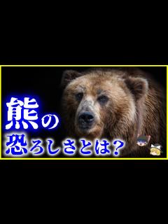 [x]【ゆっくり解説】日本に生息する「クマ」の生態と恐るべき能力とは？を解説/熊の学習能力と身体能力 - YouTube