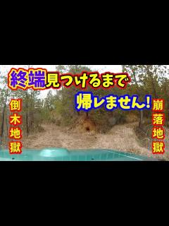 [x]（どっちも地獄w）野生化した林道の倒木10本開拓！終端を見つけるパジェロミニ【廃道 林道 酷道】 福井県越前町織田地区の荒廃林道探検 ...