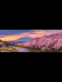 [x]ワカパイこと井上和香の妖艶ボディ！魅力的なグラビア - YouTube