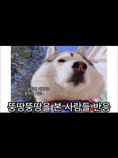 [x]뚱땅이의 뚱땅뚱땅을 본 사람들 반응 (따라하고싶은 뚱땅뚱땅) - YouTube