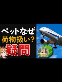 [x]【日航機事故】なぜ一緒に逃げられない？ペットが荷物扱いの本当の理由 - YouTube