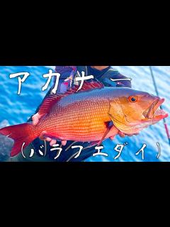 [x]するするスルルー“意外な餌で”化け物を釣る！！我夢者Ⅱ4号がぶち曲がる！ - YouTube