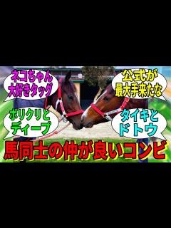 [x]【競馬の反応集】「馬どうしの仲がよかったコンビを教えてほしい」に対する視聴者の反応集 - YouTube