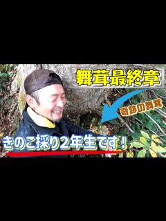 [x]キノコ採り2年生の彼が舞茸愛の限界に挑戦！今シーズン舞茸最終章！ - YouTube