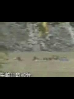 [x]【玄倉川水難事故】 流されていく人々 - YouTube