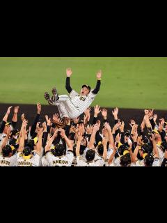 [x]野球部OB 阪神・岡田彰布監督、セ・リーグ制覇 早大出身者18年ぶり – 早稲田大学 競技スポーツセンター