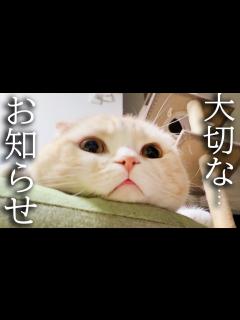 [x]皆様に大切なお知らせがあります。 - YouTube
