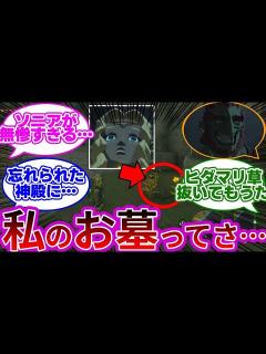 [x]『ゲスガノンドロフに葬られたソニアさんの末路が悲しすぎる…』に対する反応集【ソニア無惨や龍の泪、ゲスガノンドロフに対する反応まとめ ...