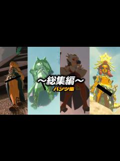 [x]パンツ不法侵入。ゼルダ プルア ルージュ ヨナ【ゼルダの伝説ティアーズオブザキングダム ティアキン