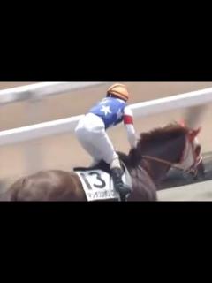 [x]手応えが余裕すぎて三浦皇成を煽り続ける松岡正海wwww - YouTube