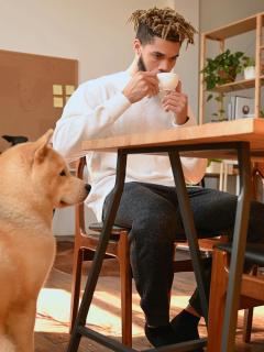 [x]茶色と白のペットの犬のクローズアップ：無料の動画素材