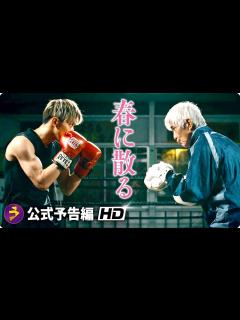 [x]佐藤浩市×横浜流星主演！映画『春に散る』本予告 - YouTube