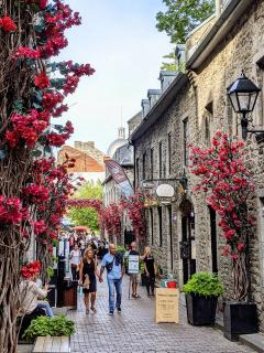 [x]Best Things to Do in Montreal | Unique Tours & Activities - Quebec ...