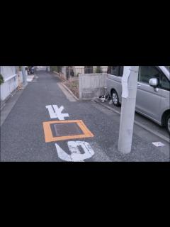 [x]『ひとりぼっちの 生活』PV第1弾 - YouTube