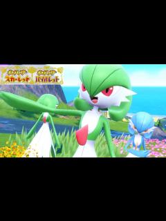 [x]サーナイト6匹に囲まれて癒されピクニック【ポケモンSV