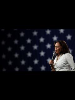 [x]【米大統領選2020】 カマラ･ハリス上院議員とは 野党・民主党の副大統領候補に - BBCニュース