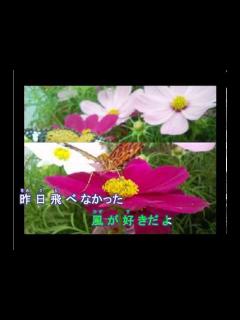 [x]勇気100％ カラオケ - YouTube