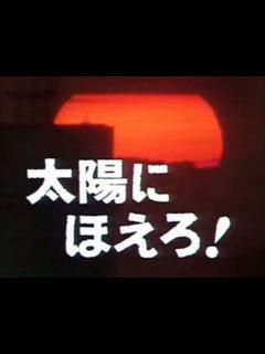 [x]【太陽にほえろ】テキサスとナポレオン（警察犬ジュン）の再会 - YouTube