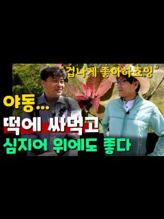 [x]외모지상주의 | 공식 티저 예고편 | 넷플릭스 - YouTube