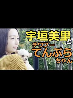 [x]宇垣美里アナが愛してやまない愛犬・てんぷらが登場 「すべてかわいい！」 - YouTube