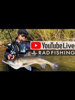 [x]久々ライブ配信！1時間質問お待ちしております！ - YouTube