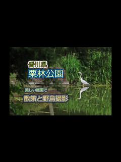 [x]【野鳥撮影 Vlog】栗林公園を散策しながら、野鳥撮影。 - YouTube