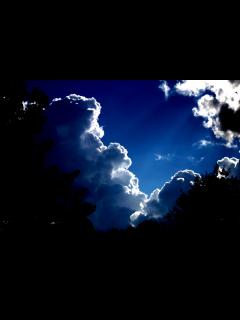[x]Blue Sky Free Stock Photo - Public Domain Pictures