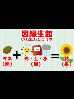 [x]直接と間接の原因が混ざって結果になる～【仏教 教え】因縁生起 - YouTube