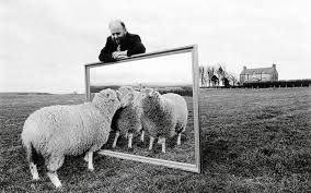 Dolly the manmade sheep | The Biomedical Scientist Magazine of the ...