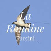 La Rondine (Opera) Plot & Characters | StageAgent
